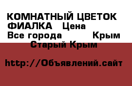 КОМНАТНЫЙ ЦВЕТОК -ФИАЛКА › Цена ­ 1 500 - Все города  »    . Крым,Старый Крым